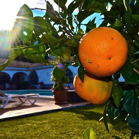 Вилла Casa Michael - El Paraiso, Marbella