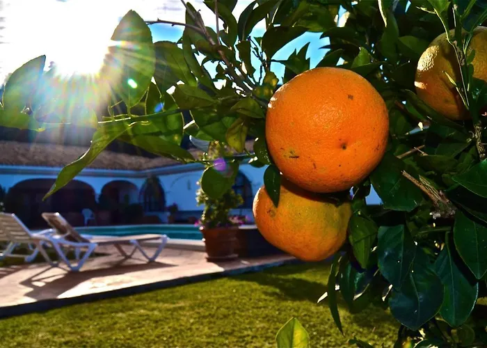 Villa Casa Michael - El Paraiso, Marbella